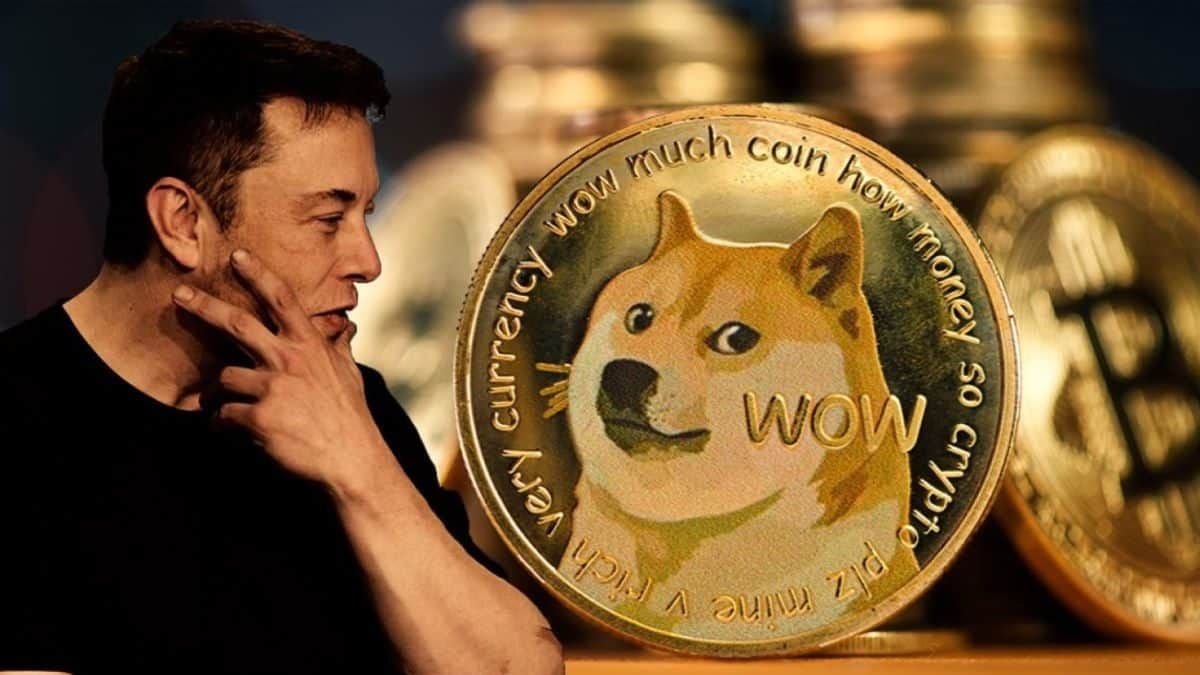 Harga Dogecoin Melonjak Setelah Elon Musk Resmi Mengakuisisi Twitter ...