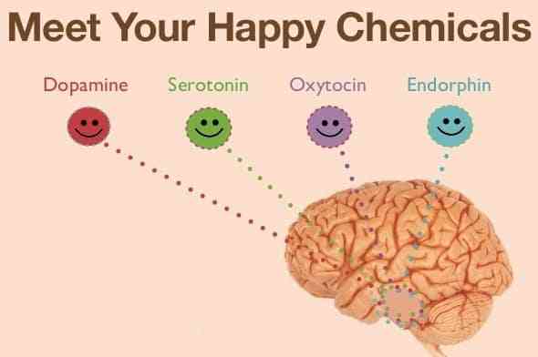 Apa Itu Hormon Kebahagiaan
