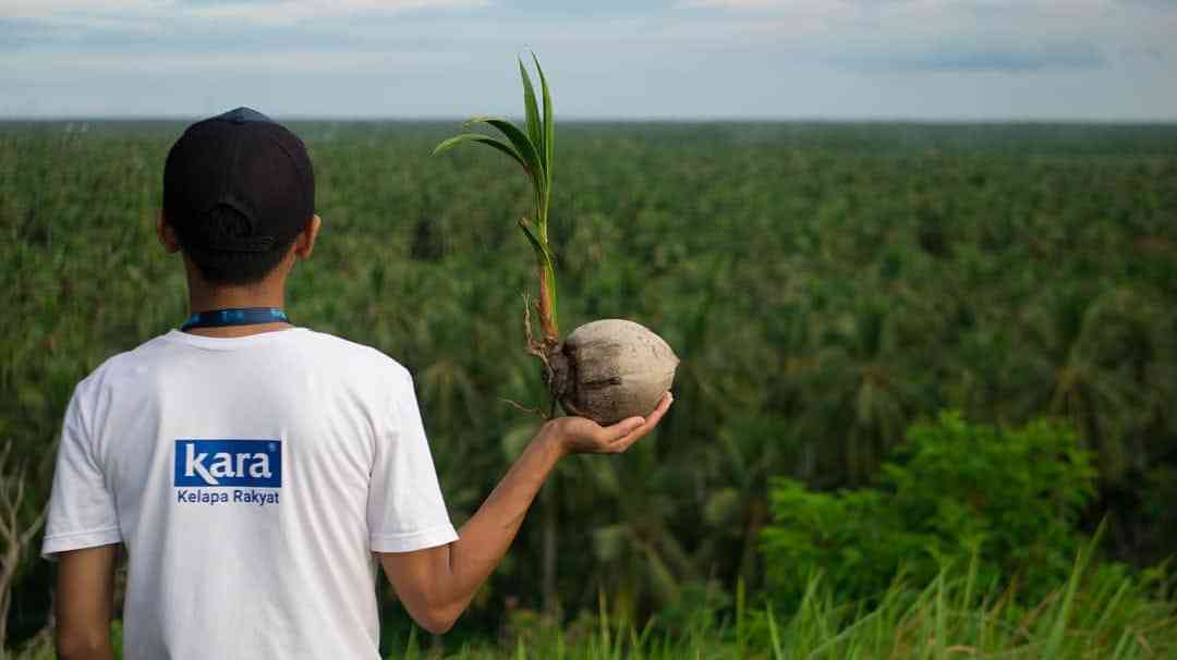 Indonesia Maju Melalui Investasi Hijau Menuju Indonesia 2045 Halaman 1 ...