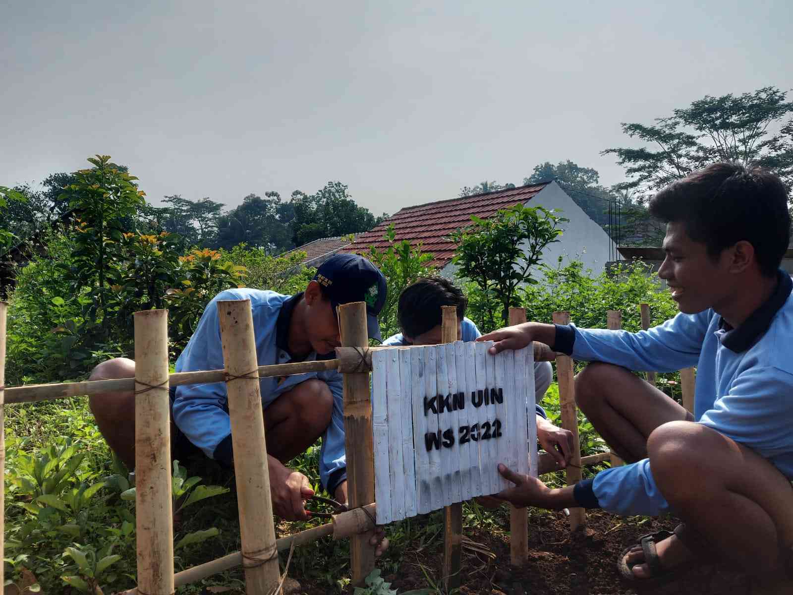 Mahasiswa KKN MIT 14 UIN Walisongo Semarang Melakukan Penghijauan Dan ...