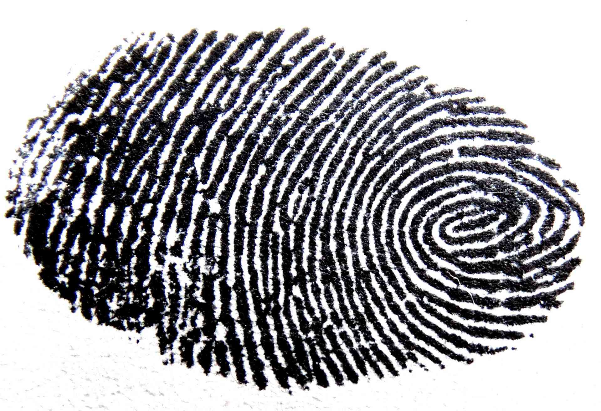 printopia vs fingerprint printopia vs fingerprint