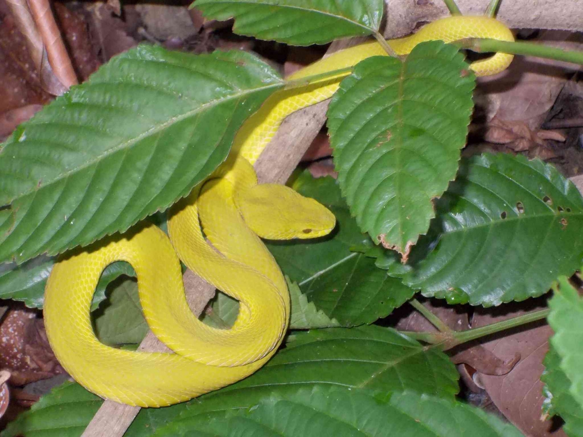 Porno videolar toplami Men dostimni erim uchun porno syurprizga taklif qildim.