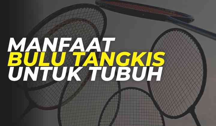 5 Manfaat Bulu Tangkis Untuk Tubuh Halaman All - Kompasiana.com