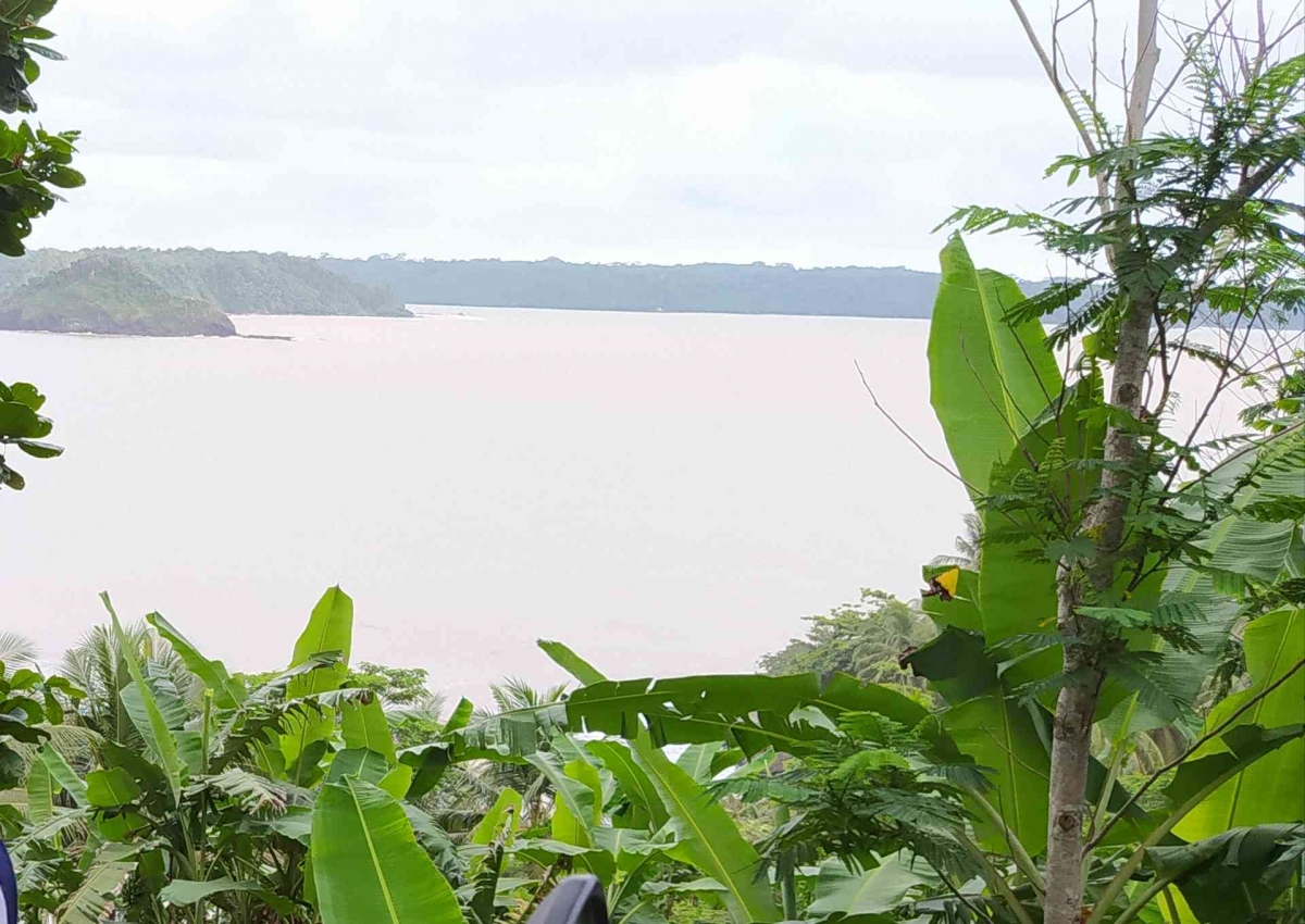 Embun Pagi Menitik Halaman 1 - Kompasiana.com