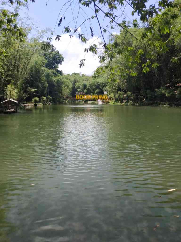 Boon Pring Di Desa Terisolir, Anugerah Hutan Bambu Desa Sanankerto Dari ...