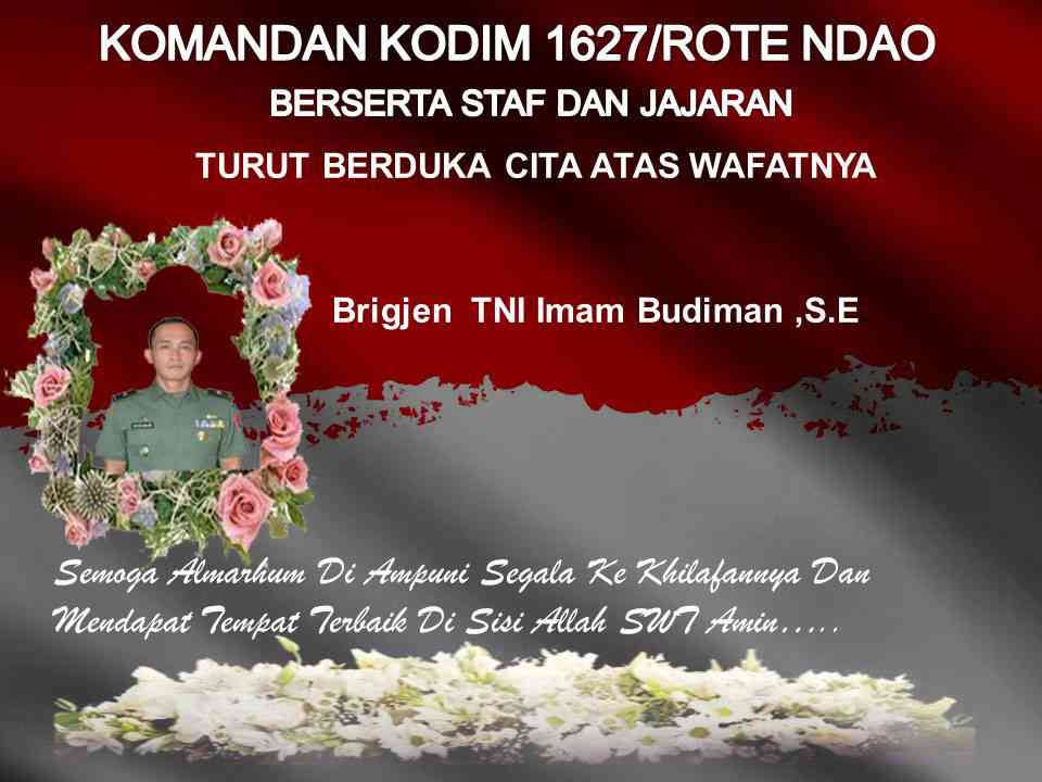 Qindagi jinsiy olatni sxemasi