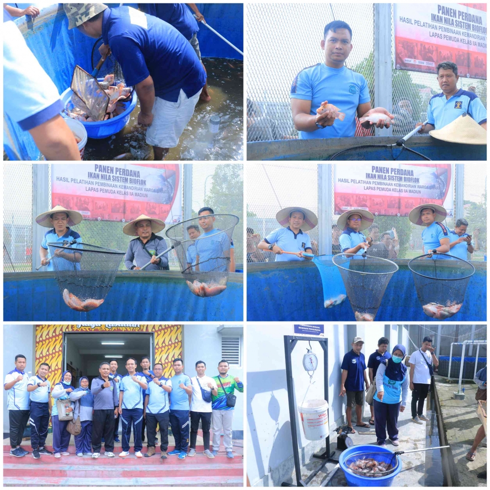 Didampingi Dinas Ketahanan Pangan Kota Madiun, Lapas Pemuda Panen Ikan Metode Bioflok Didampingi Dinas Ketahanan Pangan Kota Madiun, Lapas Pemuda Panen Ikan Metode Bioflok