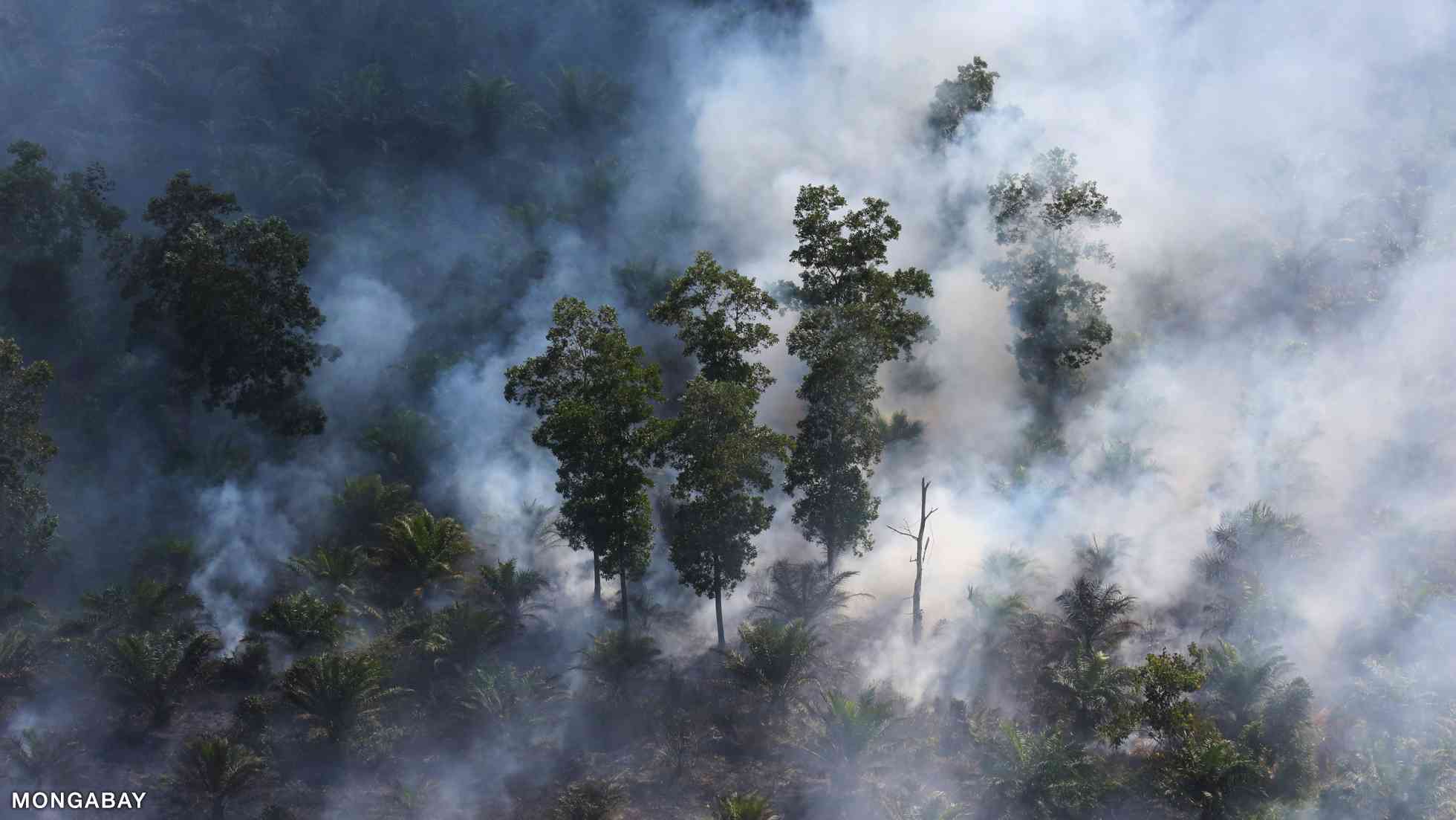 Melacak Faktor Perubahan Iklim Di Indonesia: Dari Faktor Hingga ...