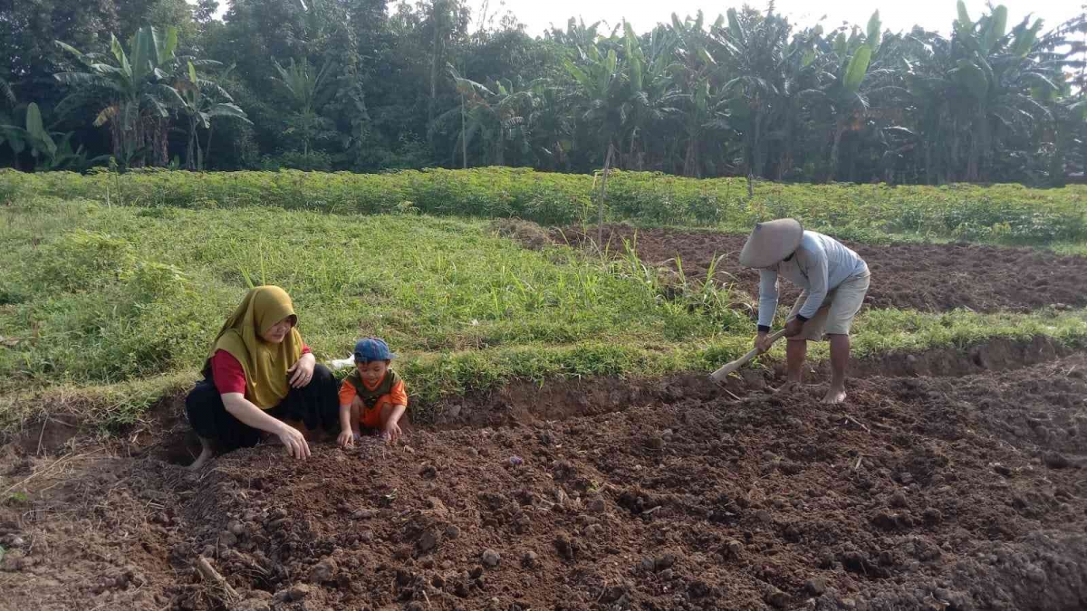 Optimalkan Pertanian Berkelanjutan: Konservasi Lahan Pertanian untuk Agribisnis Desa Kuripan Kidul