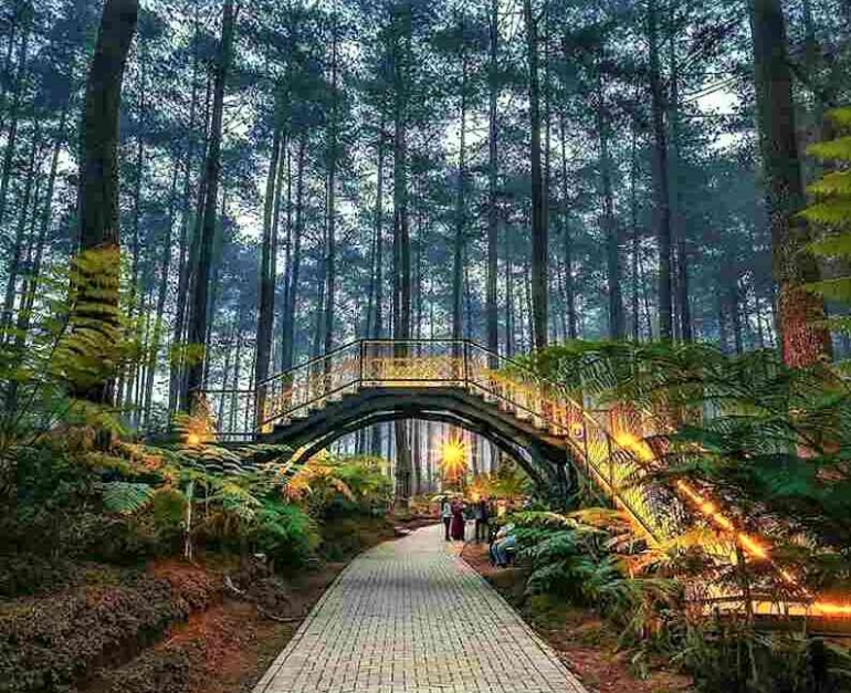 Orchid Forest Cikole Bandung: Menikmati Keindahan Pesona Wisata Alam di Tengah Hutan - Kompasiana.com