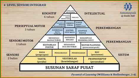 Pentingnya Stimulasi Sensori Motorik Pada Perkembangan Anak Halaman 1 ...