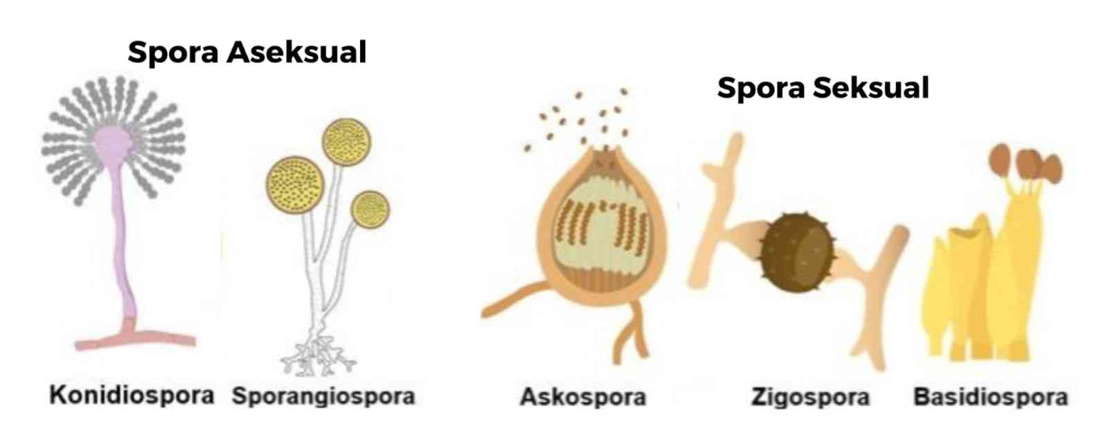 Lezbiyen filmlarini onlayn tomosha qiling