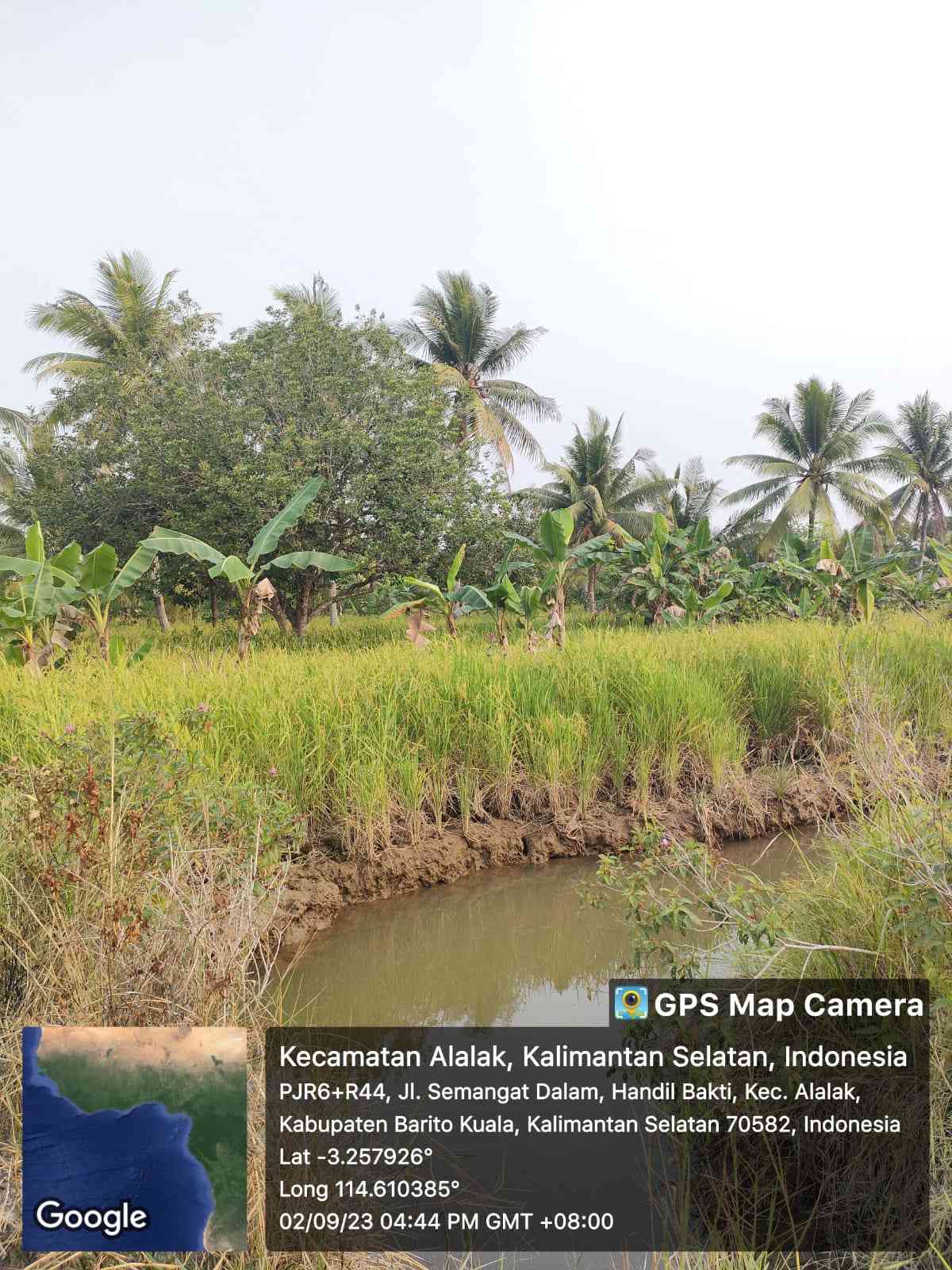 Pemanfaatan Lahan Basah Di Daerah Alalak Barito Kuala Halaman 1 ...