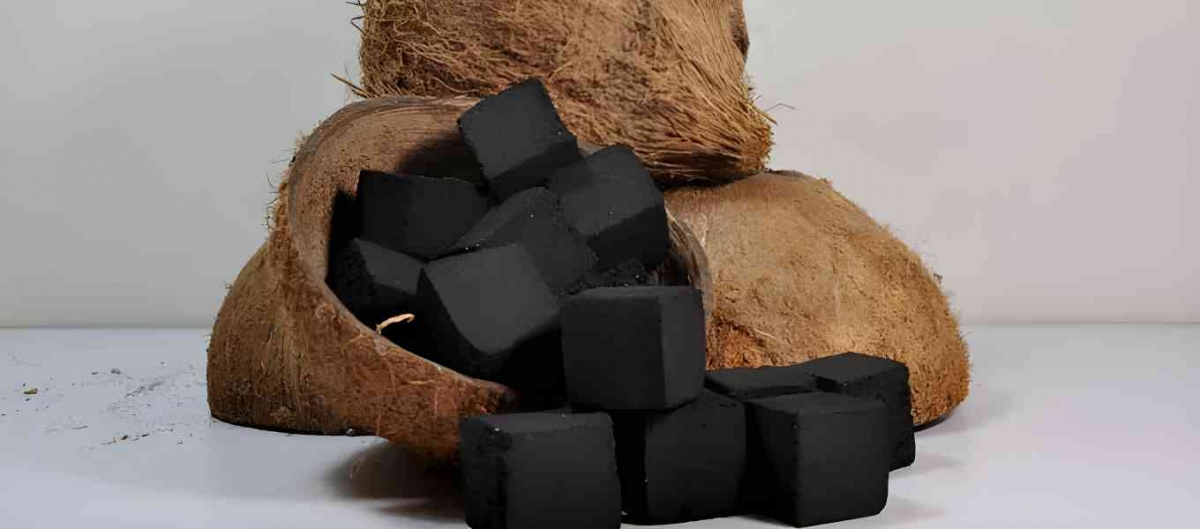 briket tempurung kelapa