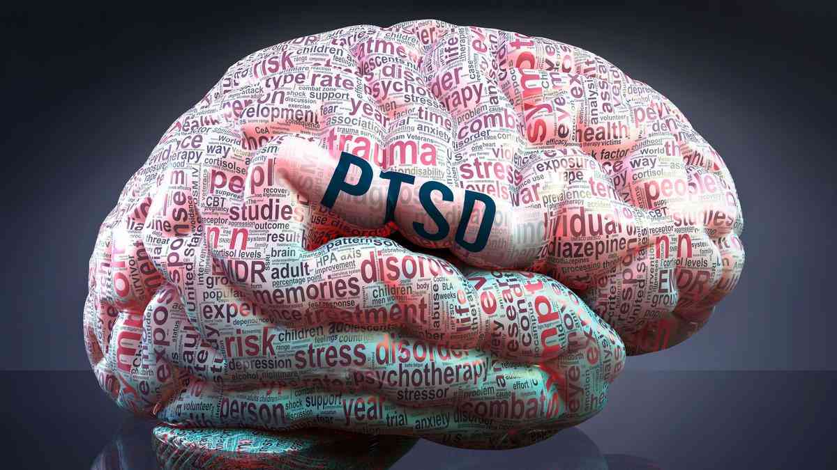 Apa Dampak Post Traumatic Stress Disorder (PTSD) Pada Generasi ...