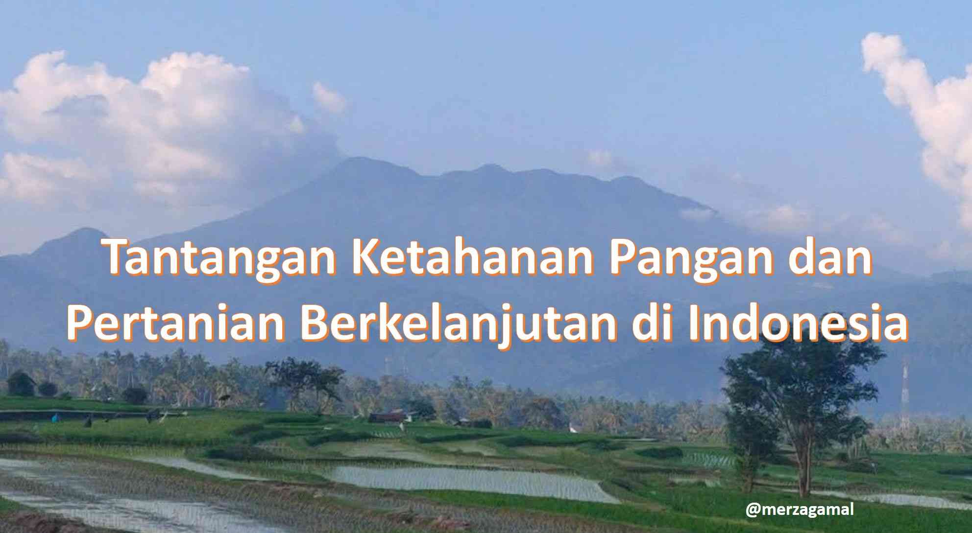 Tantangan Ketahanan Pangan Dan Pertanian Berkelanjutan Di Indonesia ...