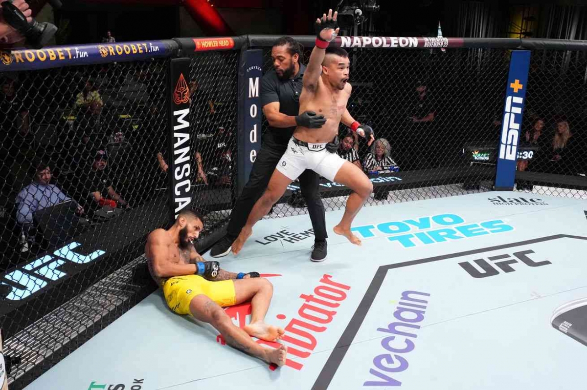 Apa itu MMA? Halaman 1 - Kompasiana.com