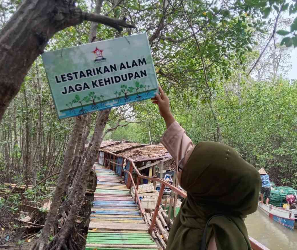 Wisata Mangrove; Wisata Edukasi Lingkungan - Kompasiana.com