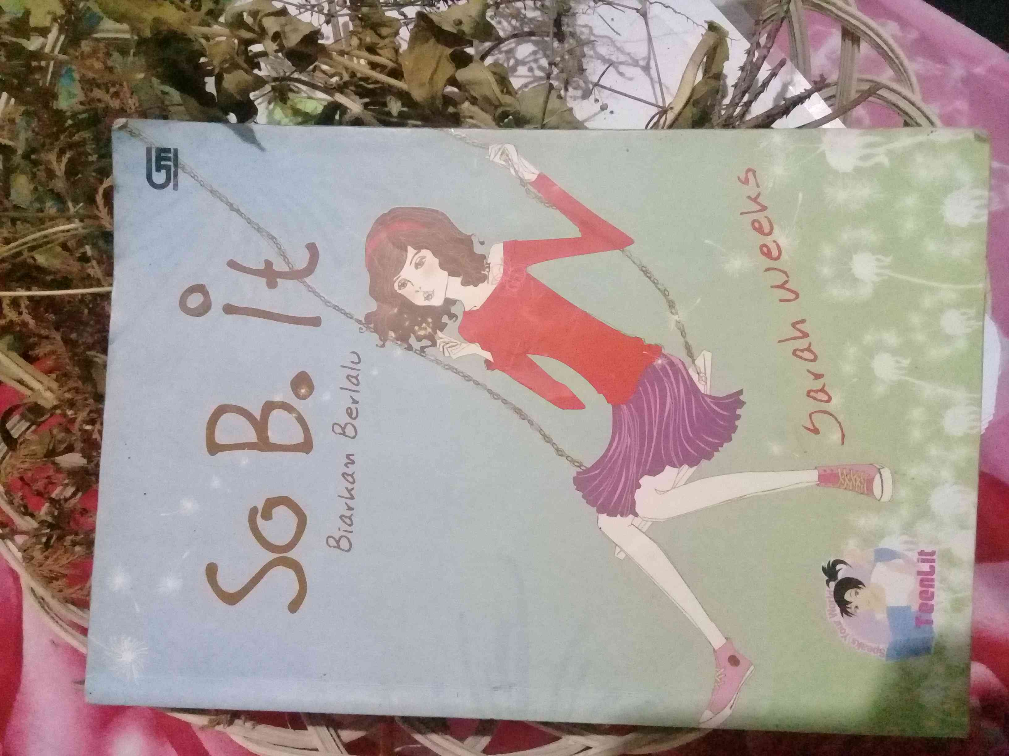 Resensi Novel "So B. IT" Sarah Weeks Halaman 1 - Kompasiana.com