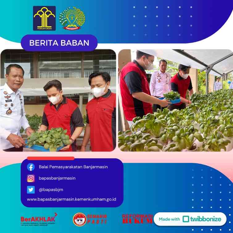 Panen Hasil Budidaya Tanaman Hidroponik Griya Abhipraya "BARATAAN ...