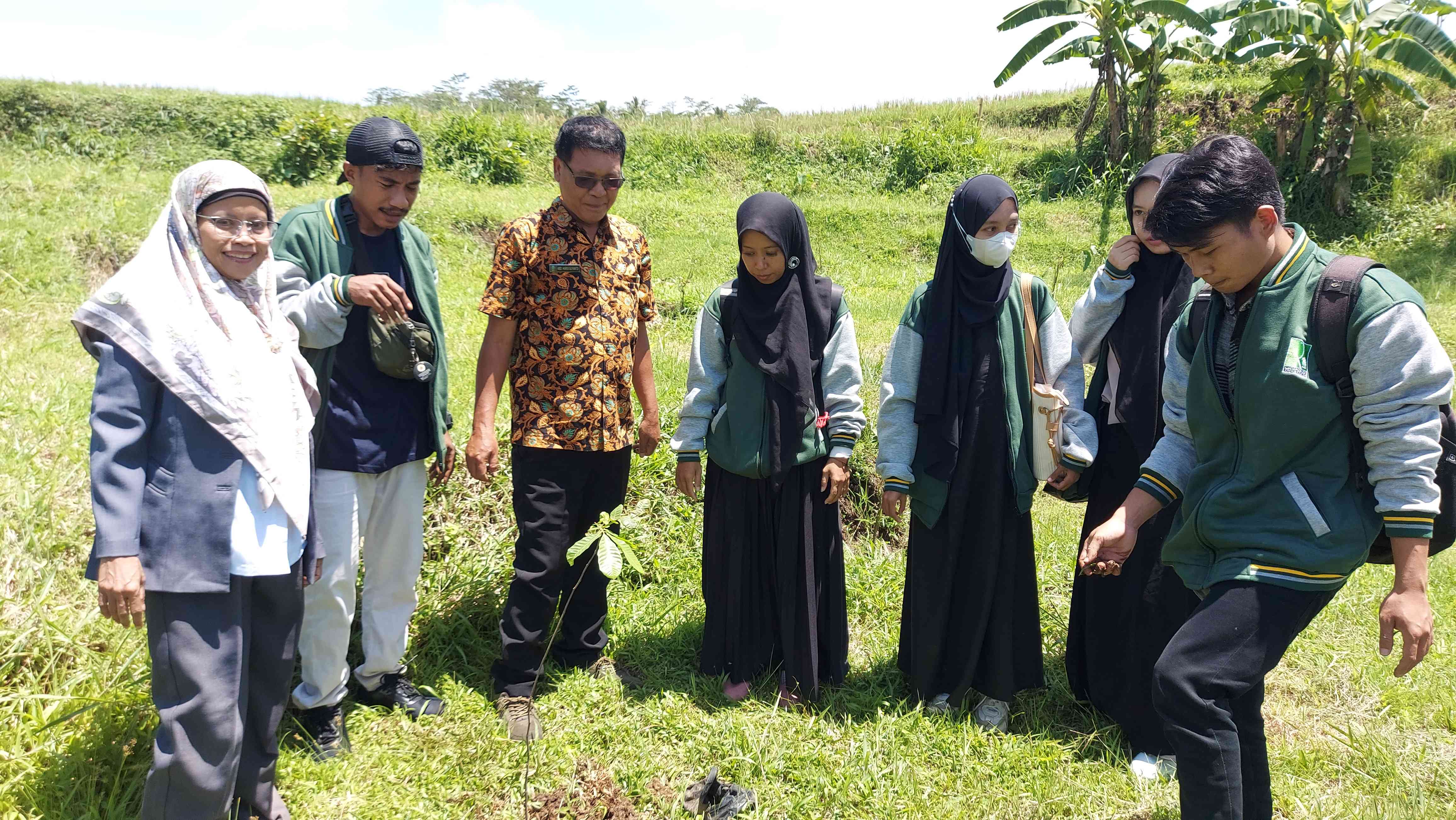 Pohon Untuk Masa Depan, Program Penghijauan Oleh Mahasiswa KKN-T Unira ...