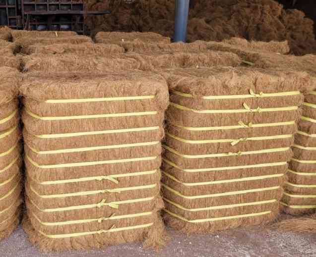 Coco Fiber