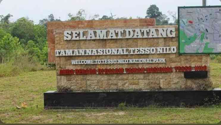 Taman Nasional Tesso Nilo: Surga Alam yang Terancam Tapi Tetap Memikat 4 Taman Nasional Tesso: Keindahan Sejati yang Tersembunyi di Balik Konflik