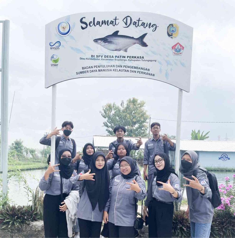 Tim Ubhi Angkat Program Diversifikasi Produk Olahan Ikan Patin dari Poklahsar ...