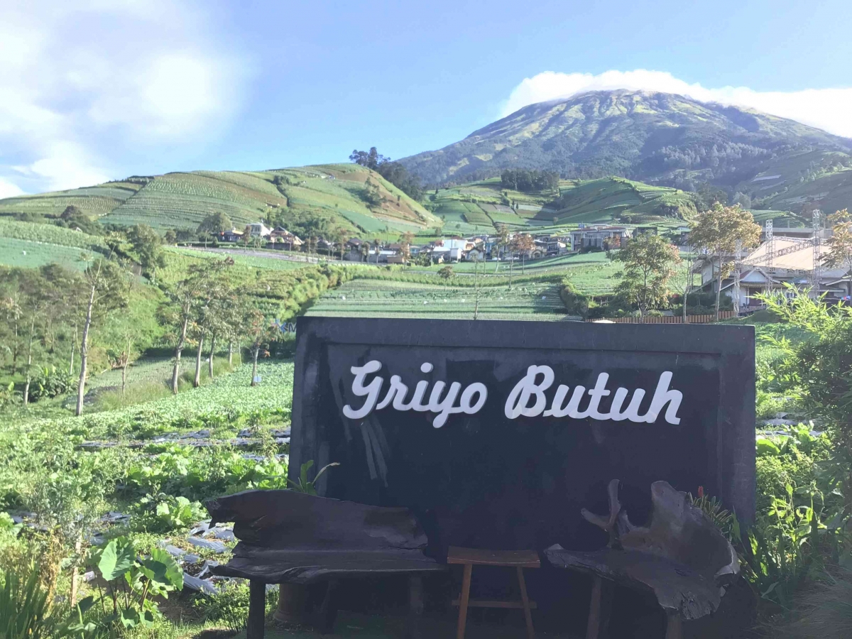 Glamping Griyo Butuh, Sensasi Berada di Atas Awan di Sukomakmur ...