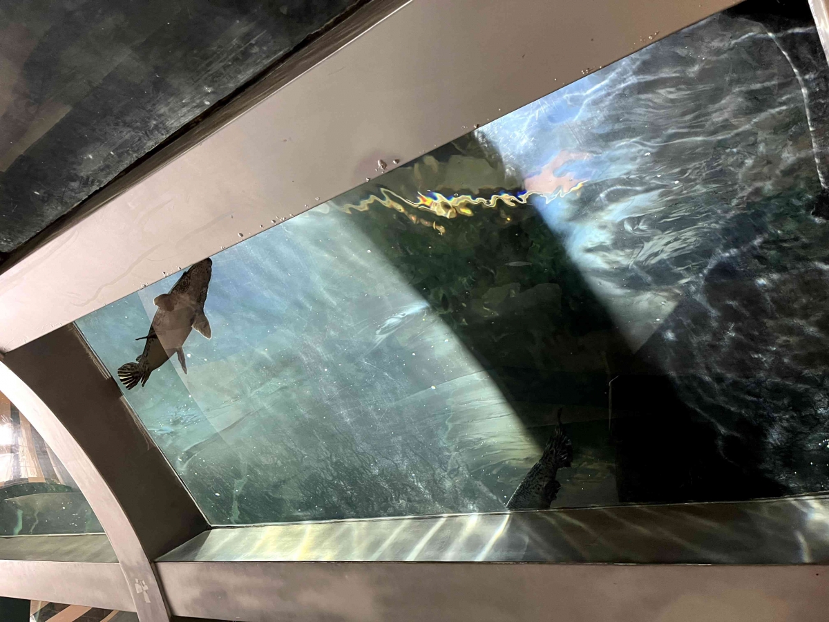 wisata kereta mini Taman Pintar