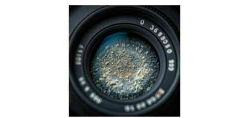 Uzbeklar eshaklarni sikishlari pornosi