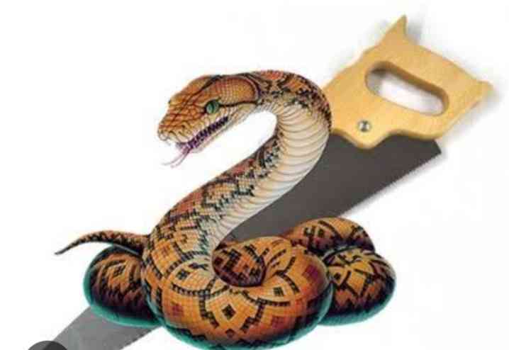 Xola minut suratini berib