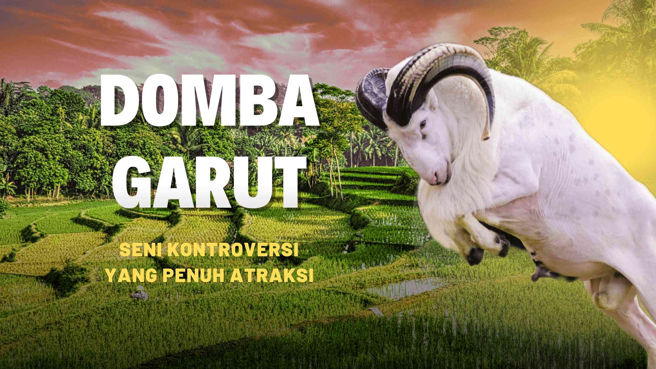 Adu Domba Garut, Atraksi Seni Yang Kontroversi Halaman 1 - Kompasiana.com