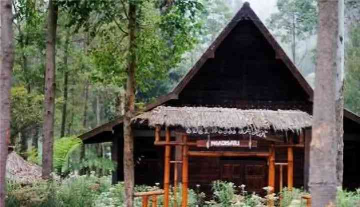 Rumah Adat Suku Tengger Jawa Timur ; Menjaga Warisan Budaya Melalui ...