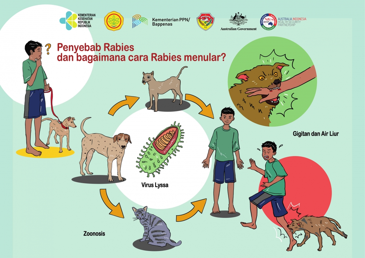Tingkat Rabies Rabies dan Realitas Kesehatan Masyarakat di Nusa Tenggara Timur Halaman ...