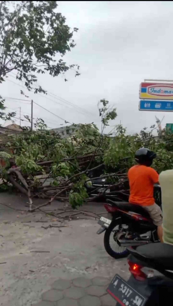 Angin Ribut Robohkan Pohon, Satu Mobil Ringsek Tertimpa - Kompasiana.com