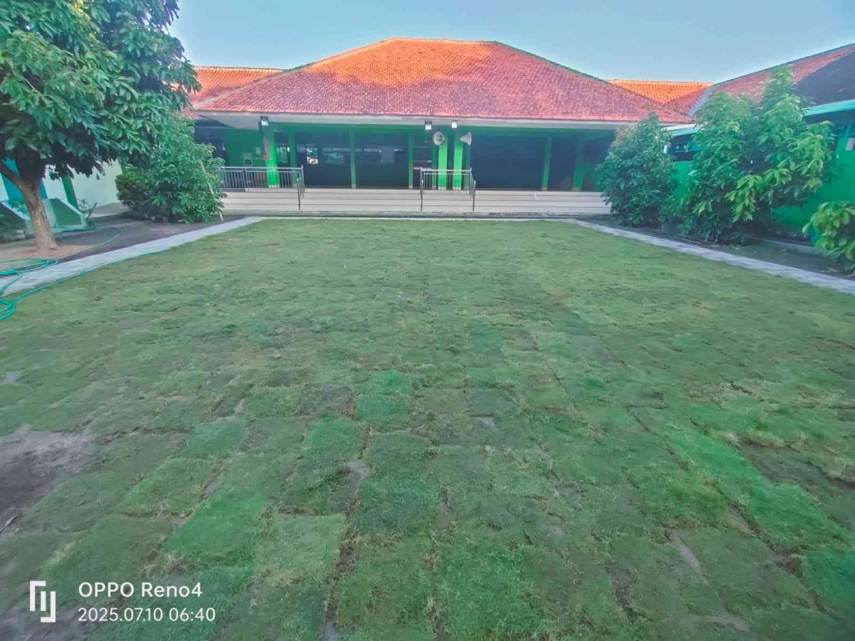 MTsN 1 Bantul Sulap Halaman Upacara Jadi Hamparan Rumput Jepang yang ...