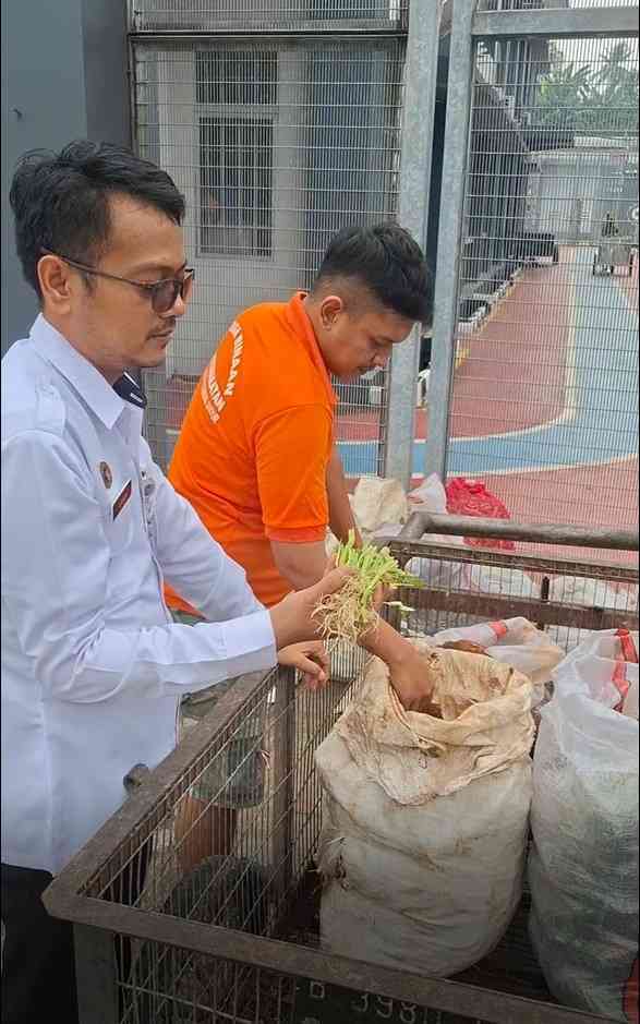 Lapas Narkotika Gunung Sindur Kembangkan Budidaya Maggot dari Sisa Bahan Makanan Dapur Lapas - Kompasiana.com