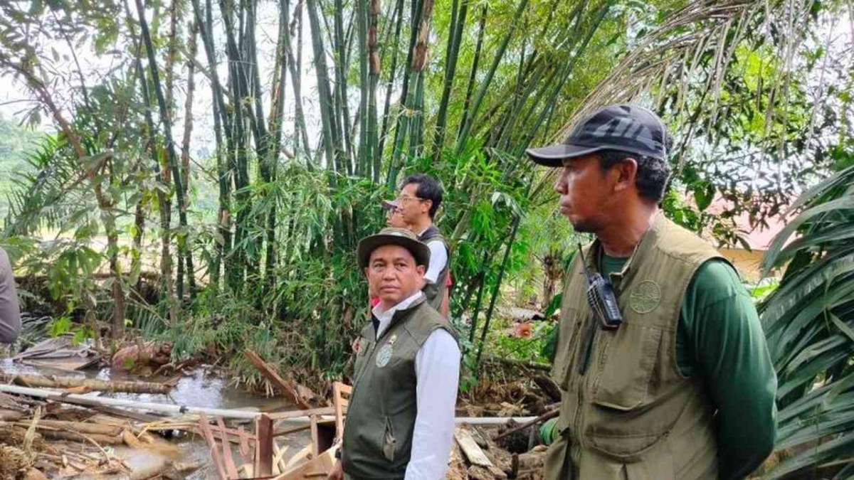 Raja Juli Minister Of Forestry In The Spotlight Halaman 1 Kompasiana raja-juli-minister-of-forestry-in-the-spotlight-halaman-1-kompasiana