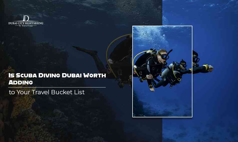 Is Scuba Diving Dubai Worth Adding to Your Travel Bucket List