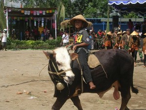 Gerobak Sapi Sebagai Kekuatan Budaya Kaum Tani Liputan Festival Gerobak Sapi Di Yogyakarta Gerobak Sapi Sebagai Kekuatan Budaya Kaum Tani Liputan Festival Gerobak Sapi Di Yogyakarta