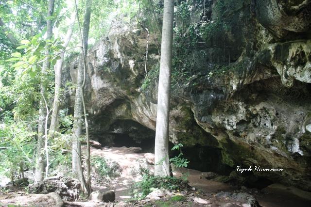 Goa Lowo Abris Sous Roche Nan Eksotis Di Ponorogo Kompasiana Com Goa Lowo Abris Sous Roche Nan Eksotis Di Ponorogo Kompasiana Com