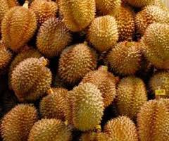 Download 7700 Koleksi Gambar Durian Busuk Paling Bagus Gratis HD