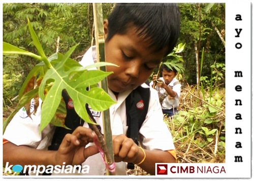 Nabung Pohon Cara Cepat Uang Berlipat Ganda Kompasiana Com