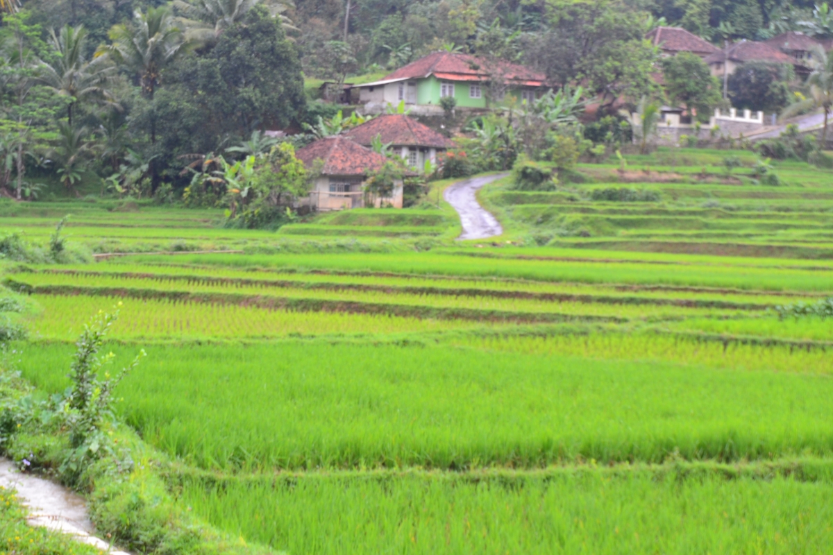 Wisata Pedesaan oleh Tarjum Sahmad Kompasiana com Wisata Pedesaan oleh Tarjum Sahmad Kompasiana com