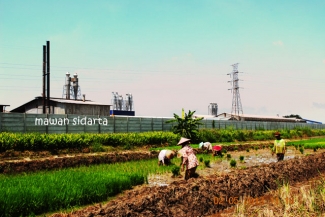 Lihat Desaku Penuh Dengan Pabrik Kompasiana Com