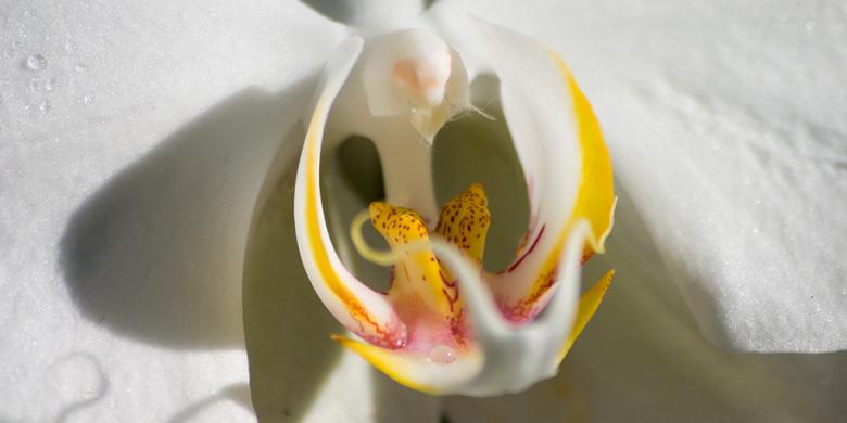 Apakah Kuliah Keperawatan Ada Tes Keperawanan Guru Paud