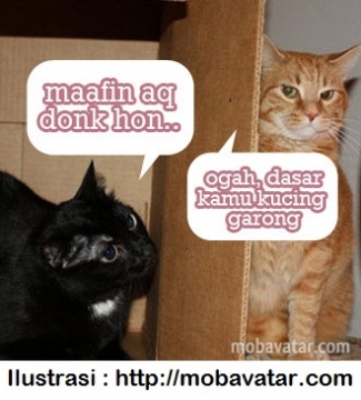 Balada Caleg Dan Kucing Garong Halaman All Kompasiana Com