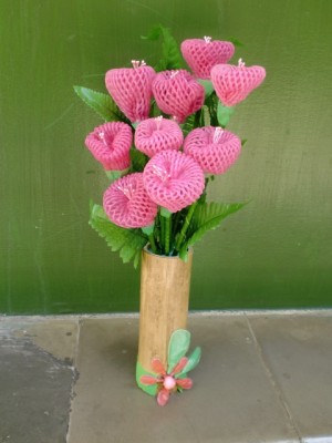 Memburu Pembungkus Buah Kompasiana com Memburu Pembungkus Buah Kompasiana com