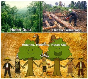 Hutanku Hutanmu Hutan Kita Kompasiana Com Hutanku Hutanmu Hutan Kita Kompasiana Com